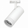 Светильник на штанге Lightstar Canno Pro C4306SS 100_100_3084229